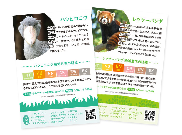 絶滅危惧種動物解説